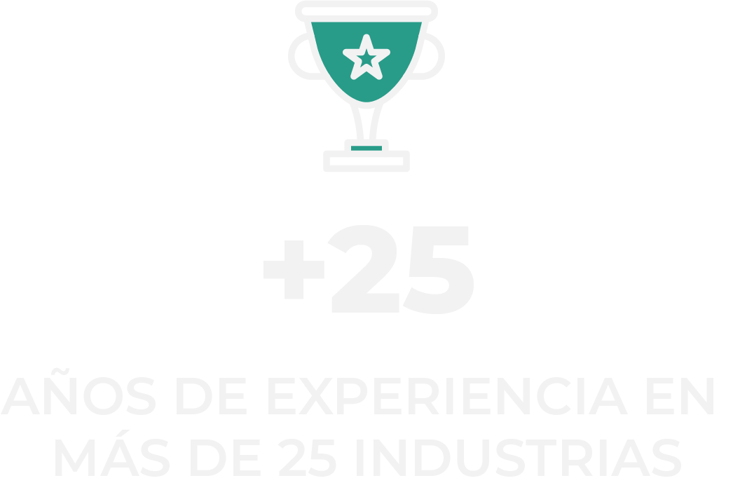 25 Experiencia